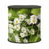 Promostolek Professional Original M White - 1