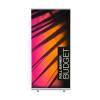 Roll-Banner Budget 100x200cm - 5