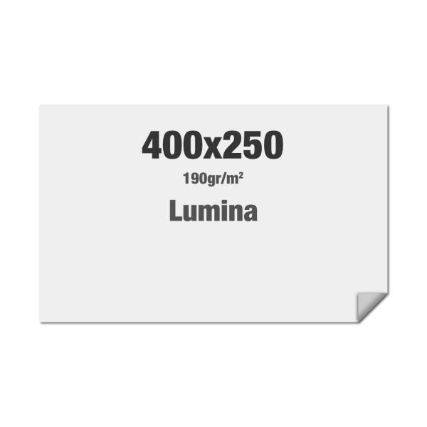 Látka s kedrem, látka Lumina se sublimačním tiskem 4000x2500mm
