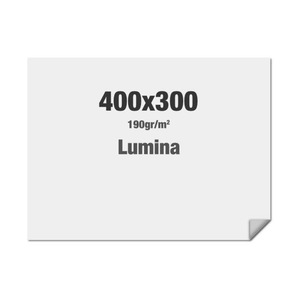 Látka s kedrem, látka Lumina se sublimačním tiskem 4000x3000mm