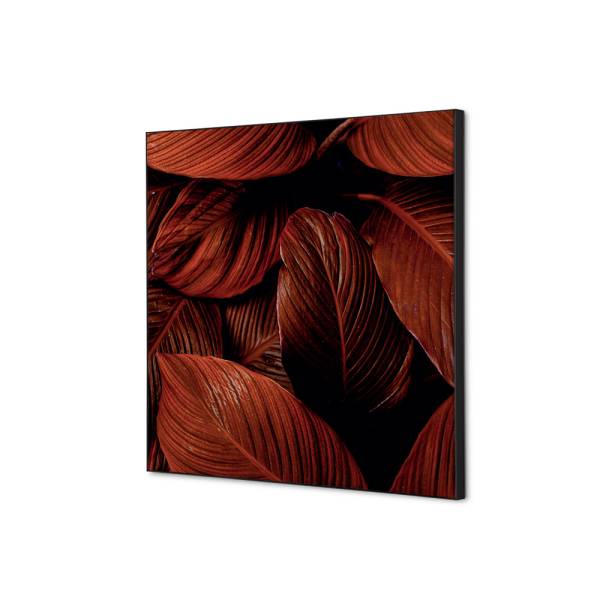 Textilní dekorace na zeď 40 x 40 Listy rostlin Červená