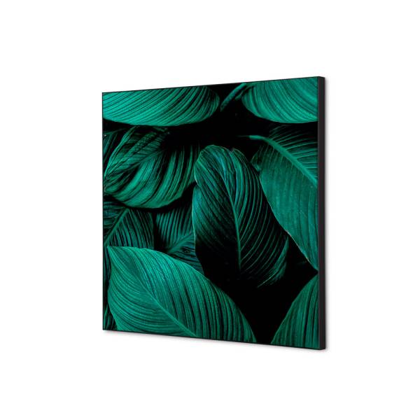 Textilní dekorace na zeď 40 x 40 Listy rostlin Zelená