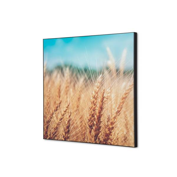 Textilní dekorace na zeď 40 x 40 Obilné pole