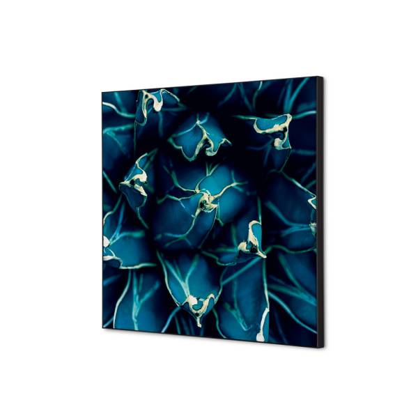 Textilní dekorace na zeď 40 x 40 Cactus modrá