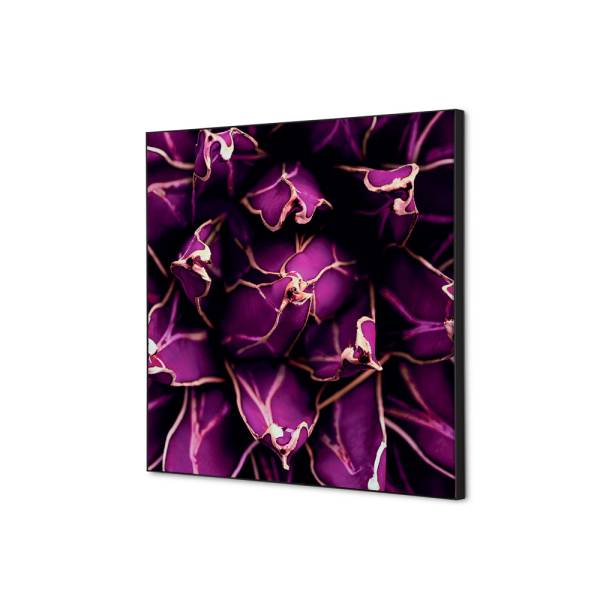 Textilní dekorace na zeď 40 x 40 Cactus nachový