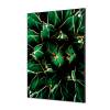 Textilní dekorace na zeď 40 x 40 Cactus zelená - 6